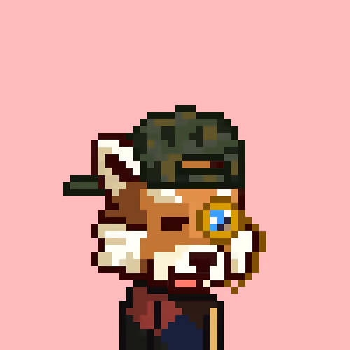 Red panda