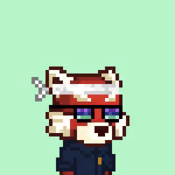 Red panda
