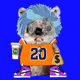 12