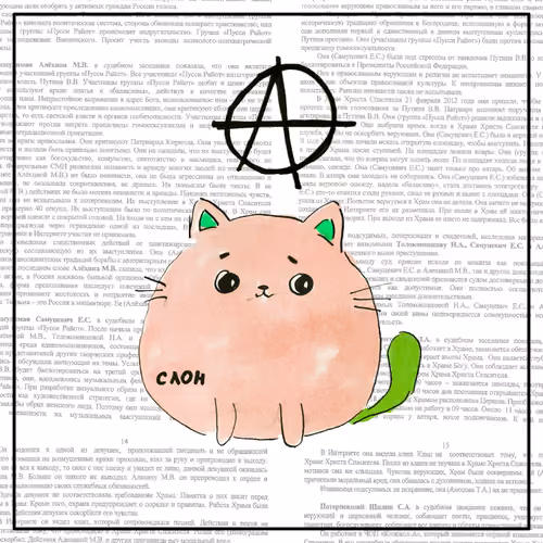 cat 6