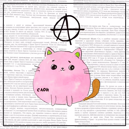 cat 8