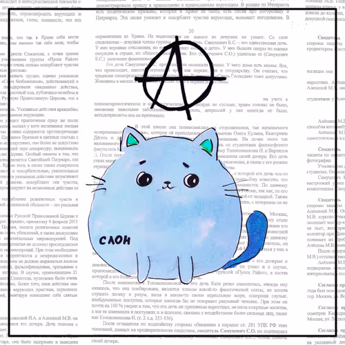cat 11