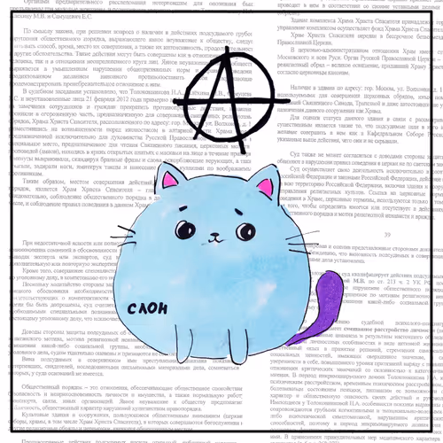 cat 1