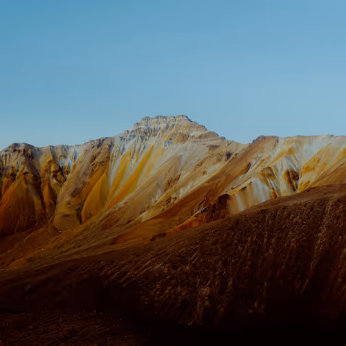 Don Marqvez Originals