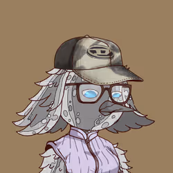 244