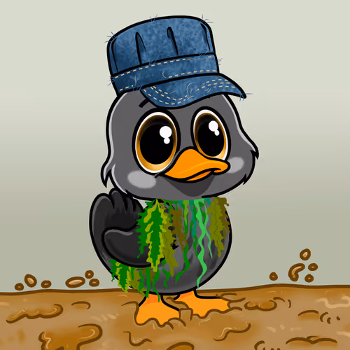 Officialyuckyducks