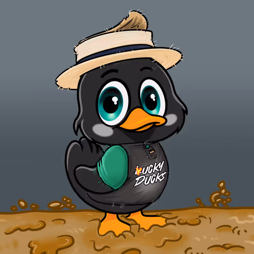 Officialyuckyducks