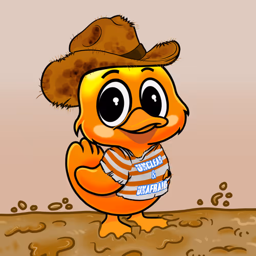 Officialyuckyducks