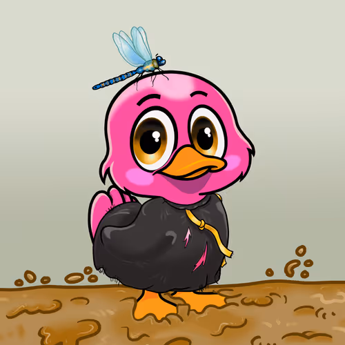 Officialyuckyducks