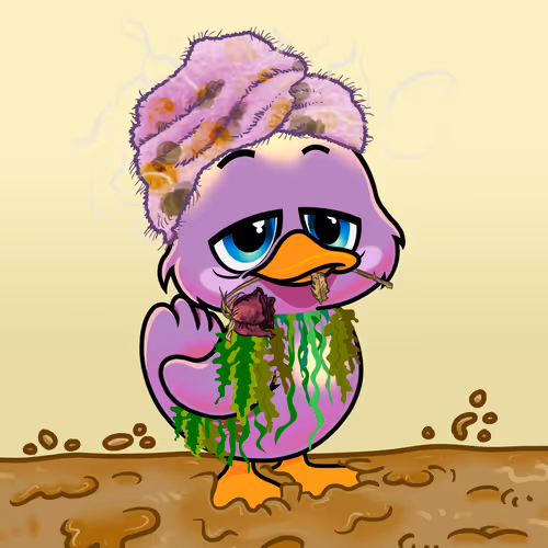 Officialyuckyducks