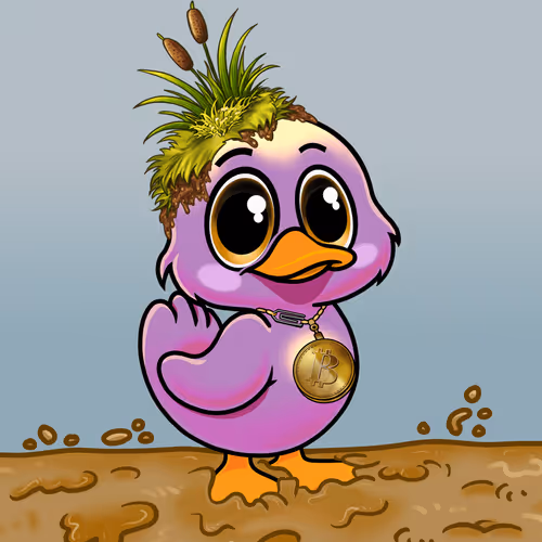 Officialyuckyducks