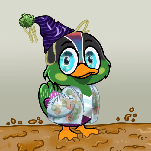 Yucky Ducks #3591