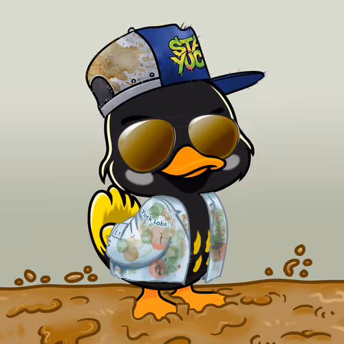 Yucky Ducks #550