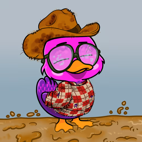 Officialyuckyducks