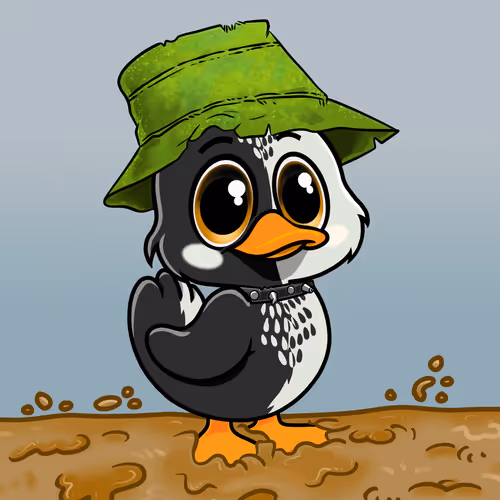 Officialyuckyducks
