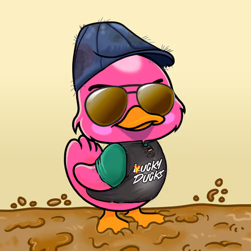 Officialyuckyducks