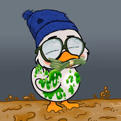 Officialyuckyducks