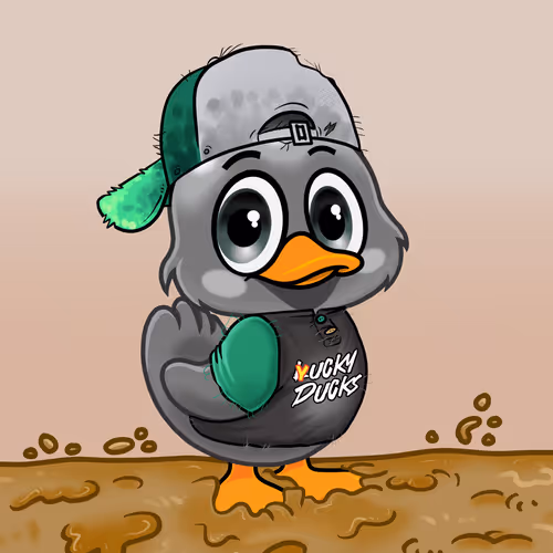 Officialyuckyducks