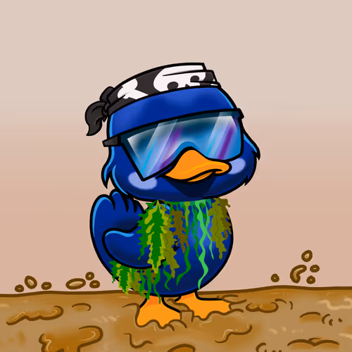 Officialyuckyducks