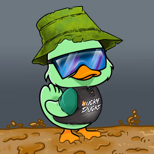 Yucky Ducks #7041