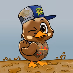 Yucky Ducks #554