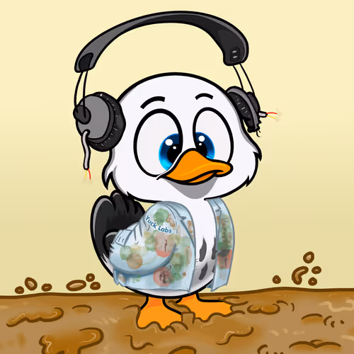 Yucky Ducks #3817