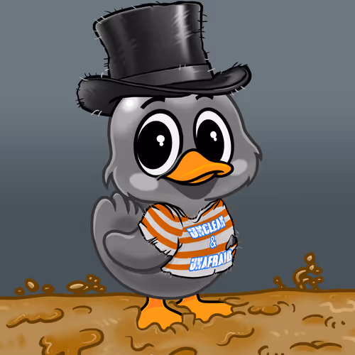 Officialyuckyducks