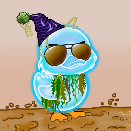 Officialyuckyducks
