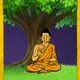 CORNBUDDHA | Series 2 Card 82