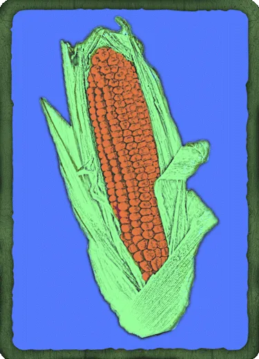 Item #1877260286943014301639503755622405355941740506717529345834352961531390363161 Media