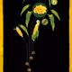 DECORNSTRUCT | Series 4 Card 117
