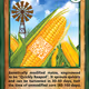 QRCORN | Series 4 Card 124