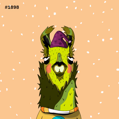 Crypto Llama #1898