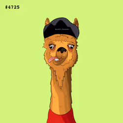 Crypto Llama #4725