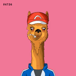 Crypto Llama #4726