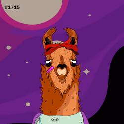 Crypto Llama #1715