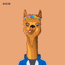 Crypto Llama #4338