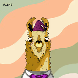 Crypto Llama #1847