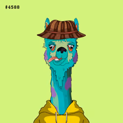 Crypto Llama #4588