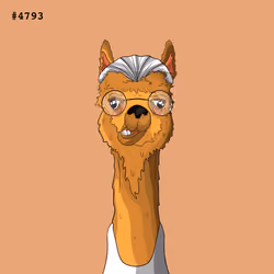 Crypto Llama #4793