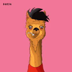 Crypto Llama #4034