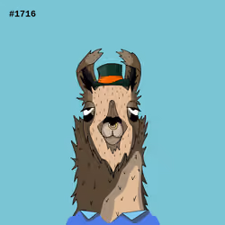 Crypto Llama #1716