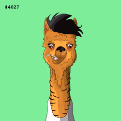 Crypto Llama #4027