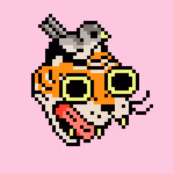 Tigerbob #900