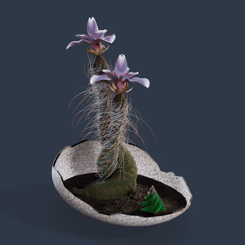 Evolvingforest