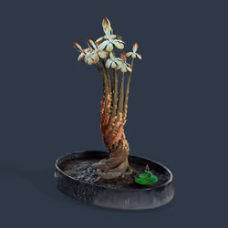 Evolving Forest #5537