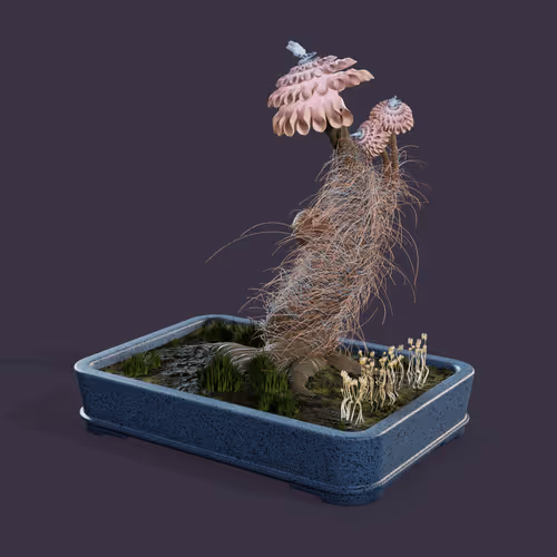 Evolvingforest
