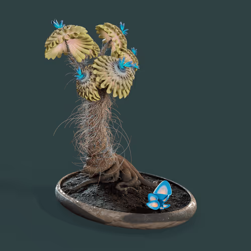 Evolvingforest