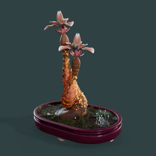 Evolvingforest