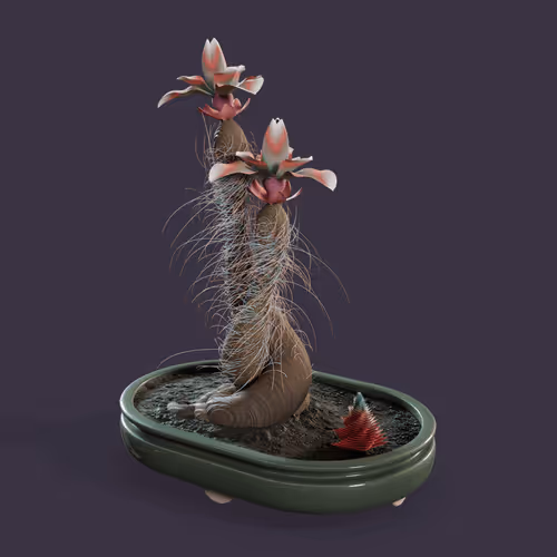 Evolving Forest #5753